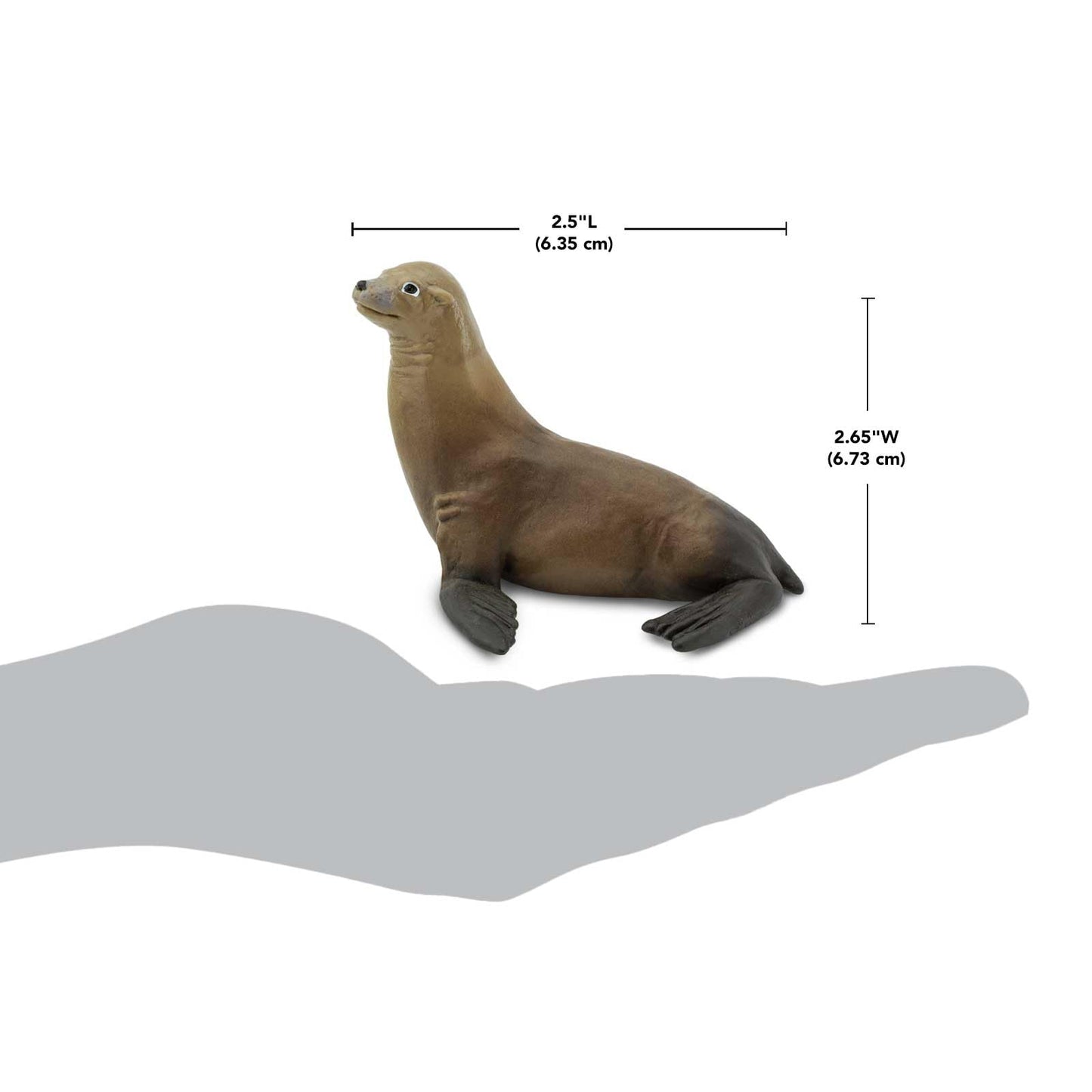 Safari Ltd. Sea Lion Figurine - Detailed 3.1" Plastic Model Figure - Fun Educational Play Toy for Boys, Girls & Kids Ages 3+