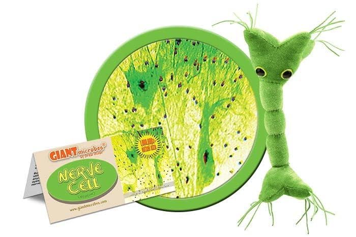 GIANT MICROBES Nerve Cell Plush, Neuron Plush, Neuroscience Gift, Neurology Gifts, Science Plushies, Neuron Model Anatomy, Psychology Gifts