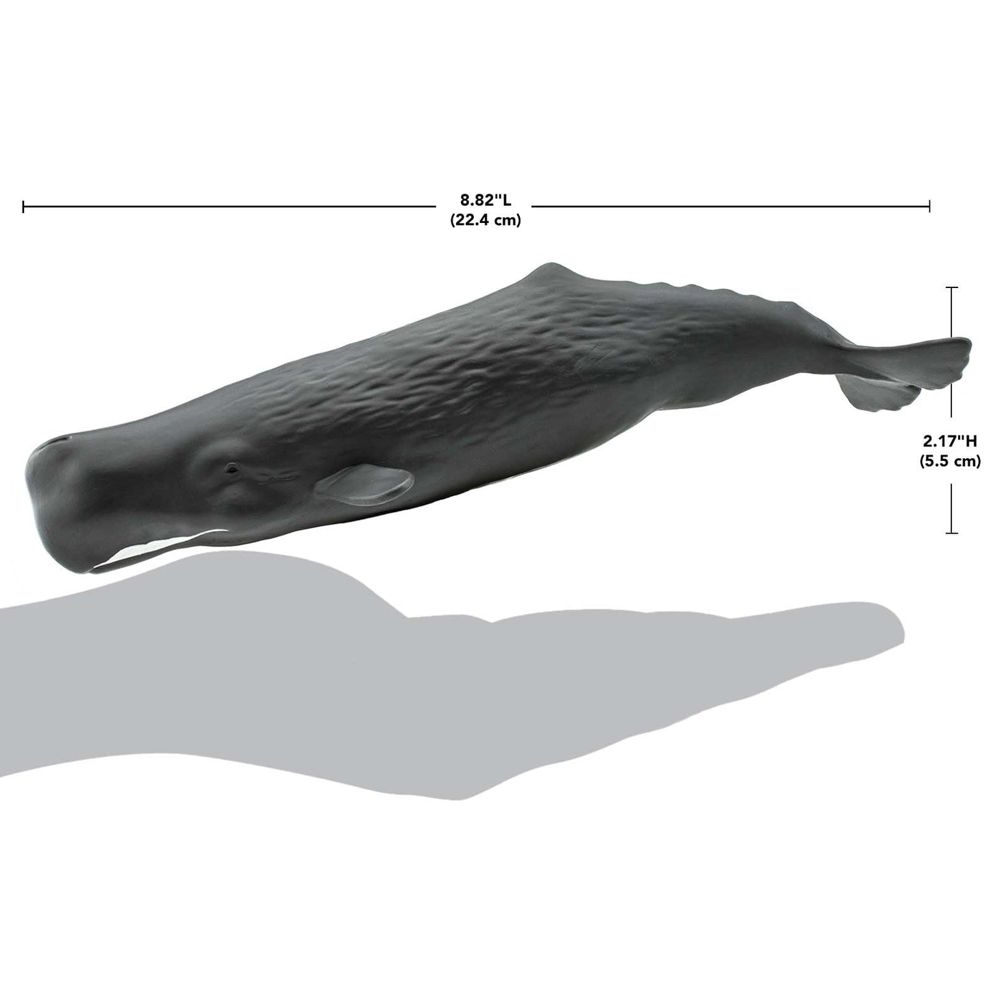 Safari Ltd. Sperm Whale Figurine - Lifelike 9" Whale Figure - Ocean Animal Toy for Boys, Girls and Kids Ages 1+
