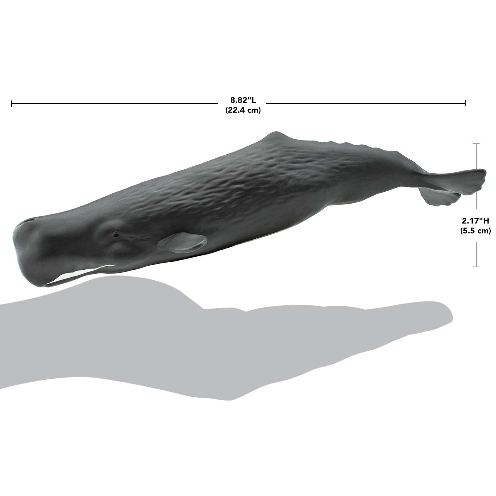 Safari Ltd. Sperm Whale Figurine - Lifelike 9" Whale Figure - Ocean Animal Toy for Boys, Girls and Kids Ages 1+