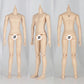 XiDonDon YMY23 YMY25 Male Body for Jointed SD BJD Doll ob22,ob24 GSC Replacement Body Dolls Accessories (25 Suntan)
