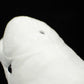 Frankiezhou Home Beluga Whale Plush Toy - Realistic 20.5" Grey Lifelike Frilled Six Gill Shark Stuffed Toy, Super Soft Sea Creatures Sharks Model