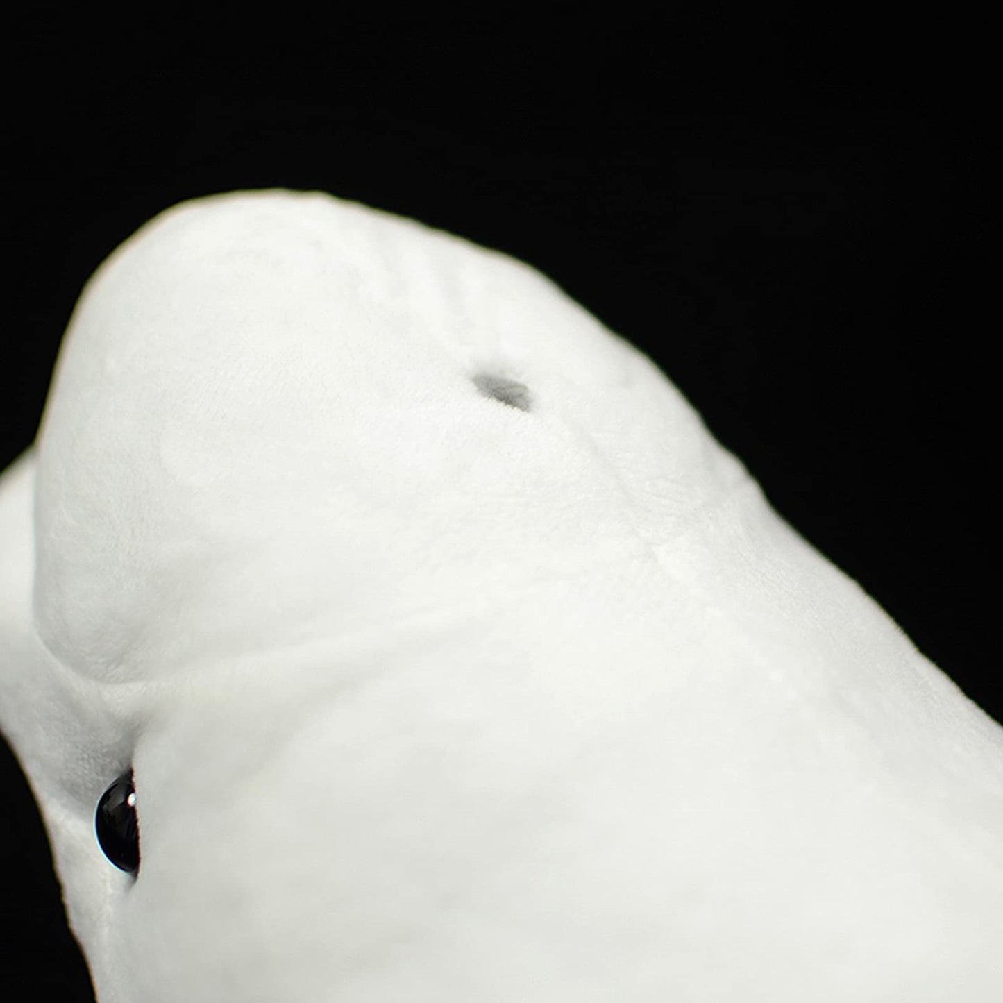 Frankiezhou Home Beluga Whale Plush Toy - Realistic 20.5" Grey Lifelike Frilled Six Gill Shark Stuffed Toy, Super Soft Sea Creatures Sharks Model