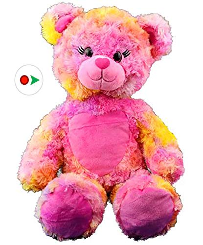 Record Your Own Plush 16 inch Stuffed Shortcake The Bear - Ready to Love in a Few Easy