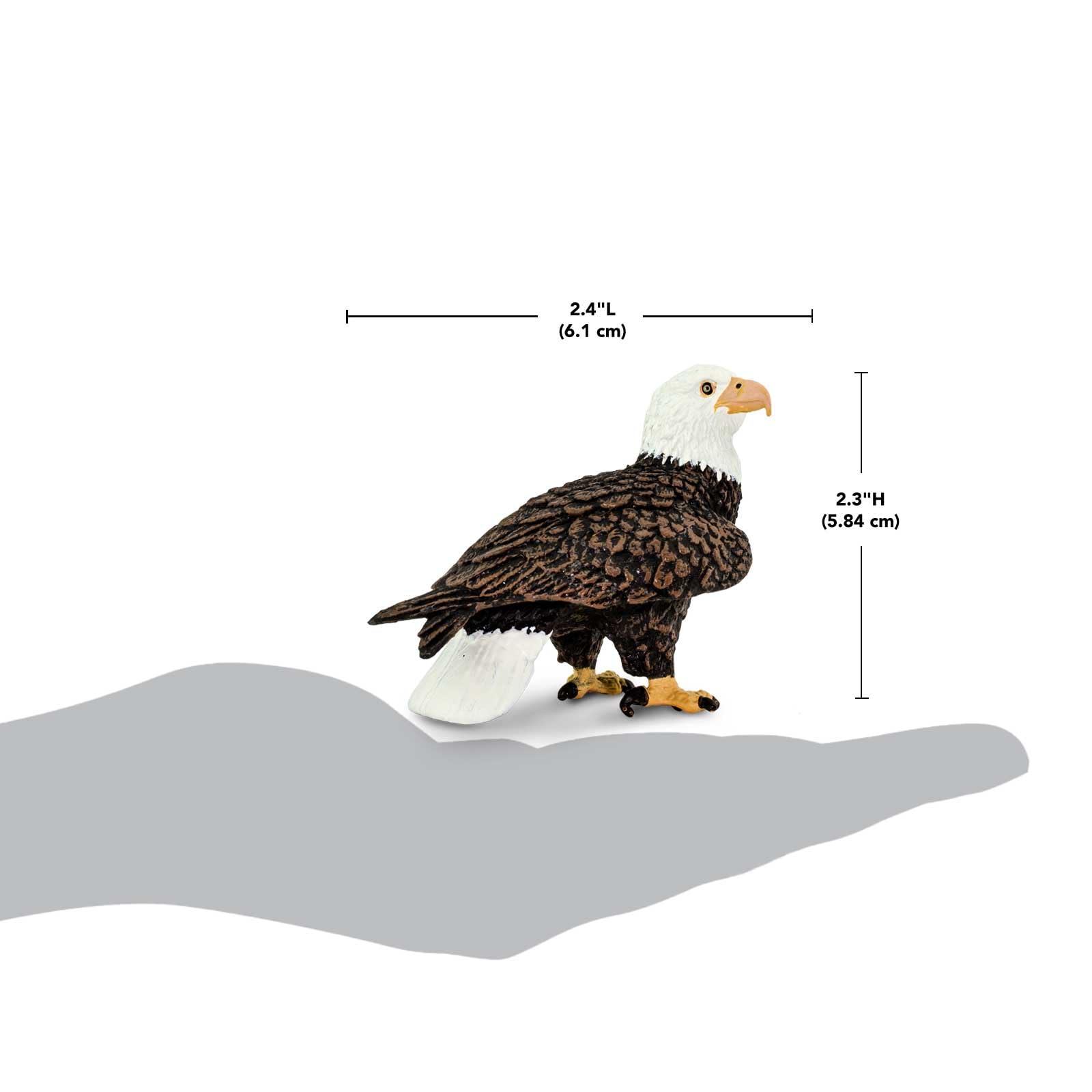 Safari Ltd. Bald Eagle Figurine - Realistic 2.4" Bird Figure - Educational Toy for Boys, Girls, and Kids Ages 3+