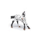Papo - Realistic Black Appaloosa Foal Figure - Ages 3+ - Horses and Ponies Collection - Creative Play Equestrian World - Gift Idea Toy for Girls