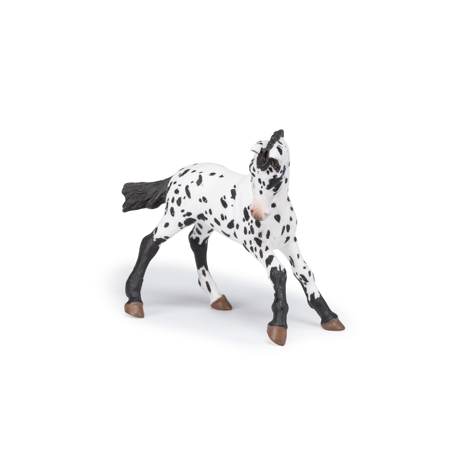 Papo - Realistic Black Appaloosa Foal Figure - Ages 3+ - Horses and Ponies Collection - Creative Play Equestrian World - Gift Idea Toy for Girls