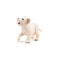 Papo White Lion Cub Figure