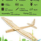 Dancing Wings Hobby Balsa Wood Radio Remote Controlled Electric F16 Glider Sunbird Need to Build (F1601B)
