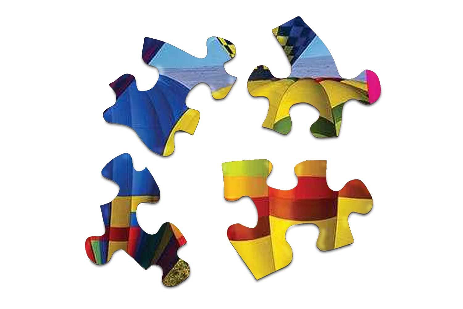 Springbok's 1000 Piece Jigsaw Puzzle Take Flight - Made in USA