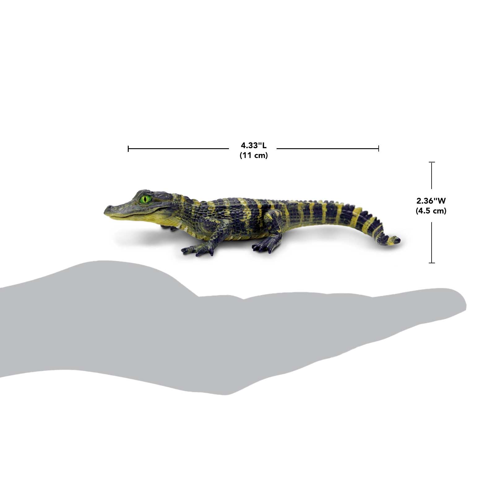 Safari Ltd. Alligator Baby Figurine - Detailed and Lifelike 4.5" Toy Figure - Fun and Educational for Boys, Girls & Kids Ages 3+