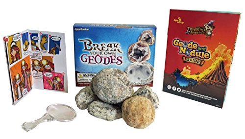 Break Your Own Geodes 6 Whole Geodes