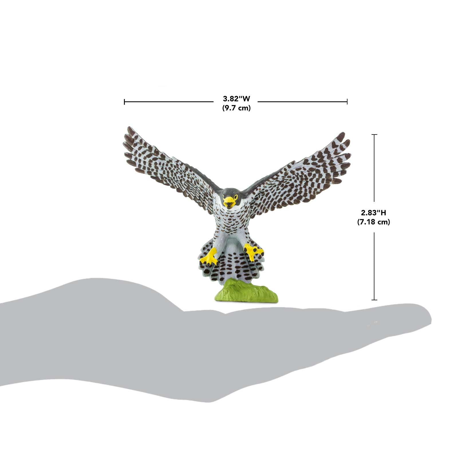 Safari Ltd. Peregrine Falcon Figurine - Detailed 3.75" Wingspan Plastic Model Figure - Fun Educational Bird Play Toy for Boys, Girls & Kids Ages 3+