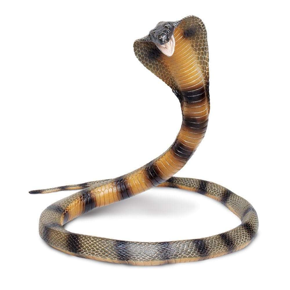 Safari Ltd. Cobra Figurine - Detailed 36" Flexible, Plastic Model Figure - Fun Educational Play Toy for Boys, Girls & Kids Ages 18 Months+