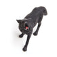 Safari Ltd. Black Wolf Figurine - Detailed 3.7" Plastic Model Figure - Fun Educational Play Toy for Boys, Girls & Kids Ages 3+
