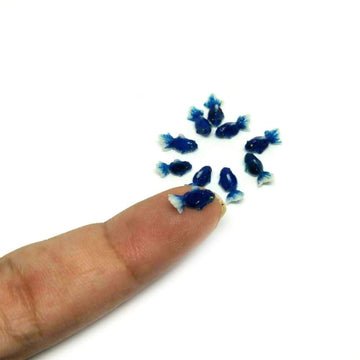 An_Shop 10pcs Artificial Animal Accessories Clay Goldfish Packs Miniature Figurine Mini Decorative for DIY Ornament Craft DIY Dollhouse Dark Blue