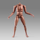 SOUFORCE 1:6 Scale Muscle Male Action Figure Europe Skin 12 Inch Flexible Male Figure Body Doll Miniature Figure Without Head Sculpt