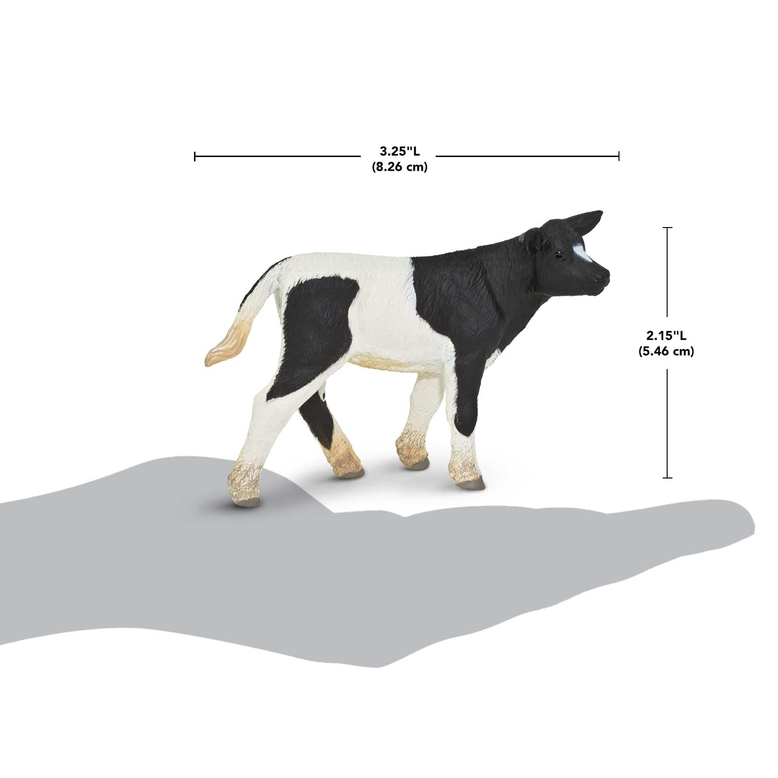 Safari Ltd. Holstein Calf Figurine - Detailed 3.25" Plastic Model Figure - Fun Educational Play Toy for Boys, Girls & Kids Ages 3+