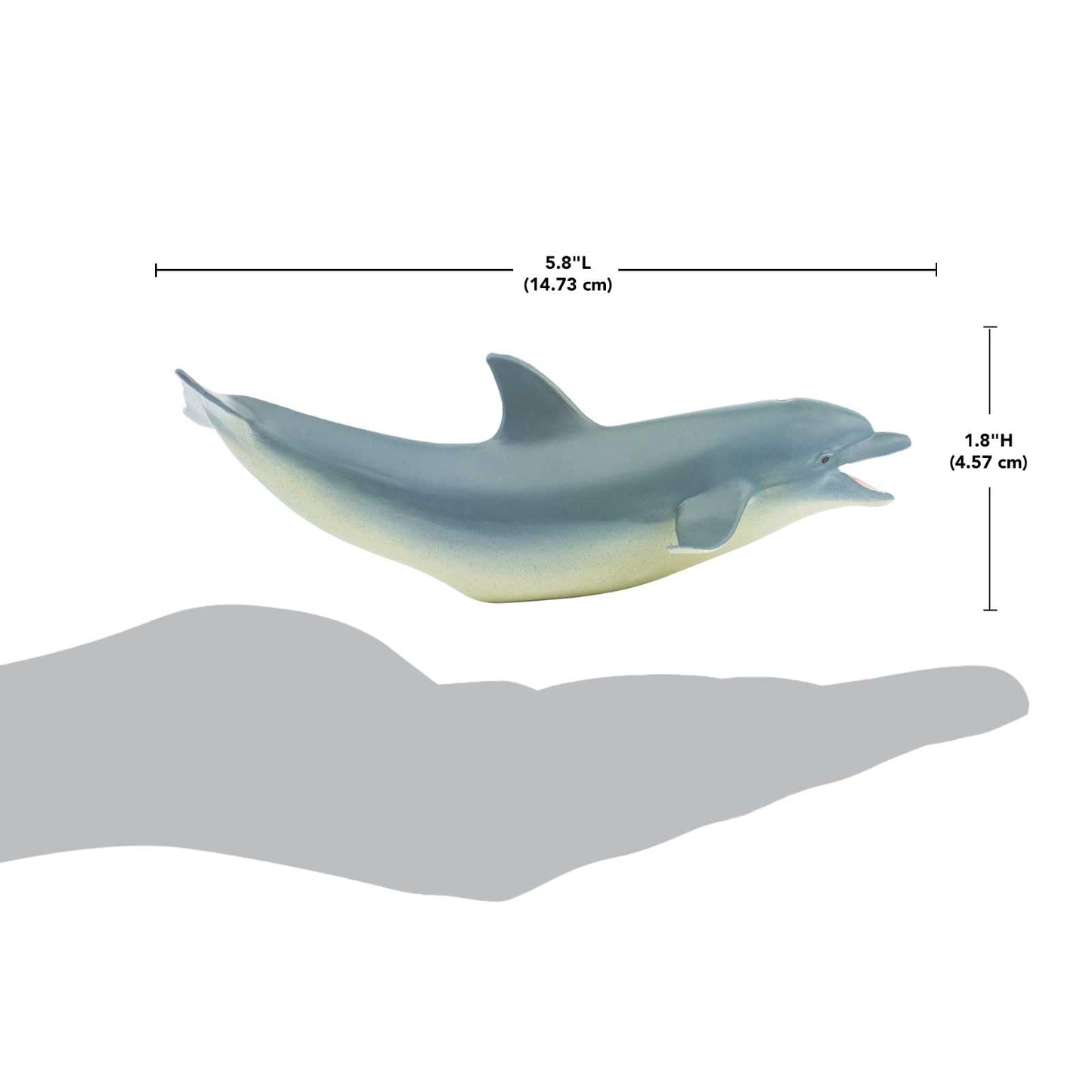 Safari Ltd. Bottlenose Dolphin Figurine - Detailed 5" Plastic Model Figure - Fun Educational Play Toy for Boys, Girls & Kids Ages 3+