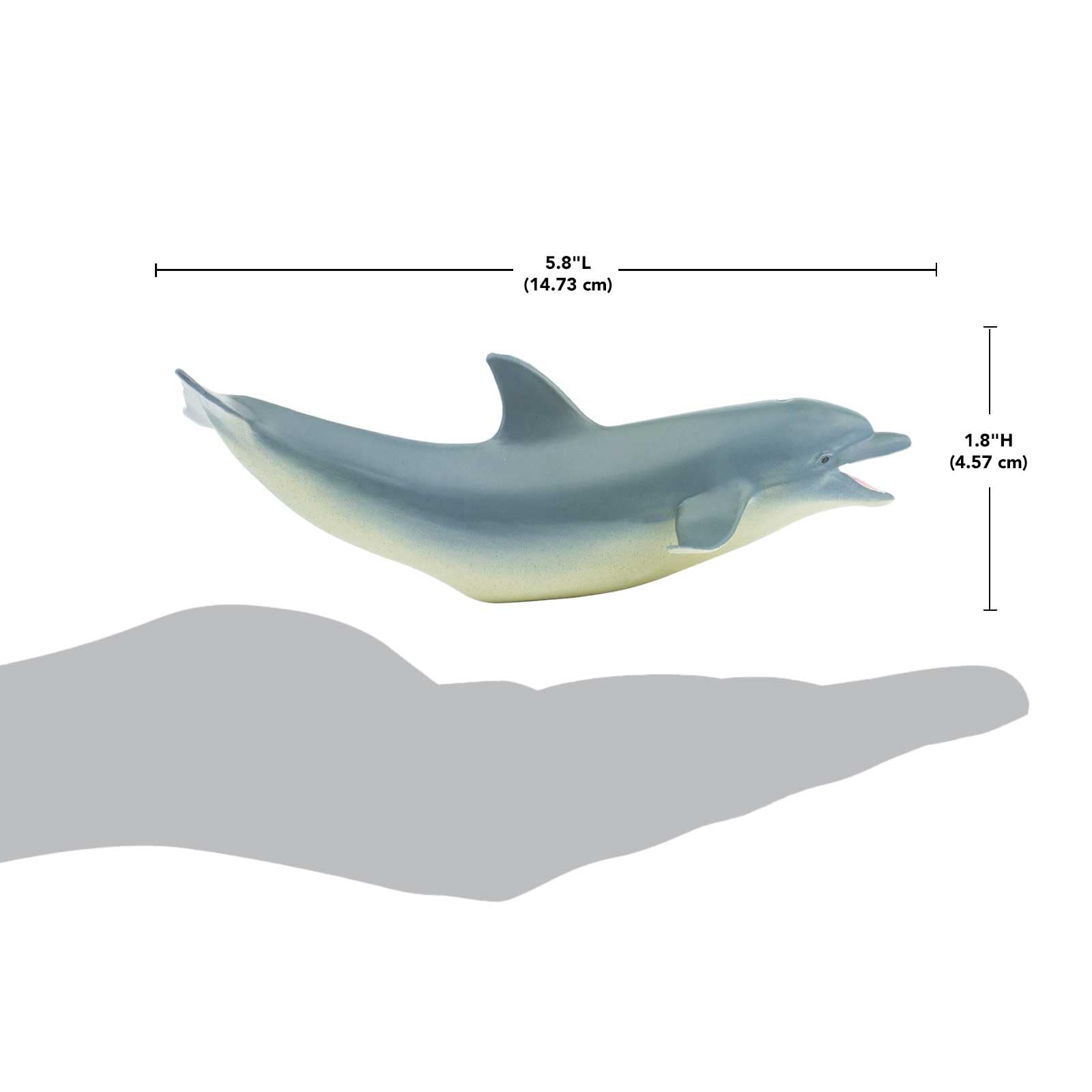 Safari Ltd. Bottlenose Dolphin Figurine - Detailed 5" Plastic Model Figure - Fun Educational Play Toy for Boys, Girls & Kids Ages 3+