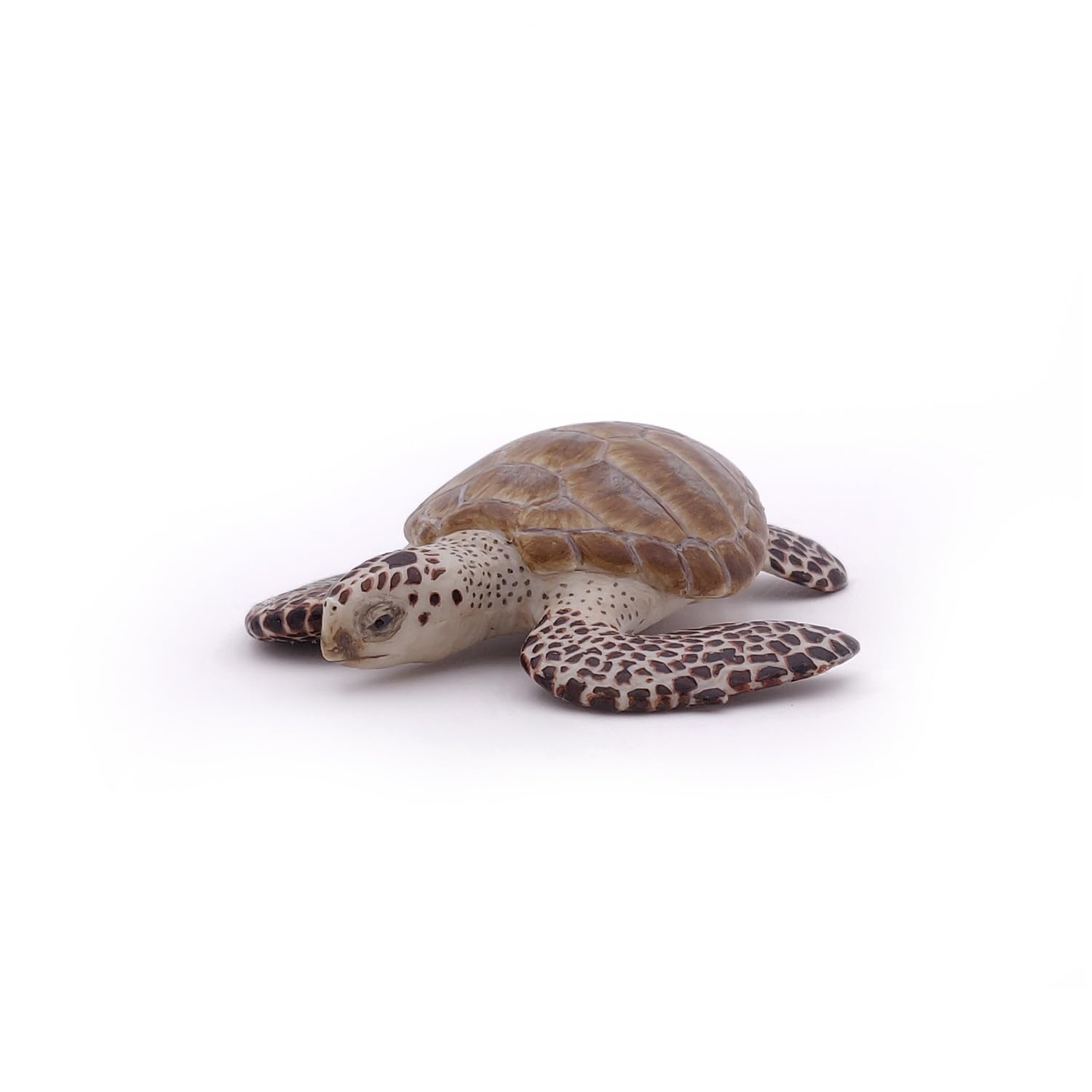 Papo - Realistic Loggerhead Sea Turtle Figure - Ages 3+ - Marine Life Collection - Educational Play Marine Animals - Gift Idea Toy for Girls and Boys