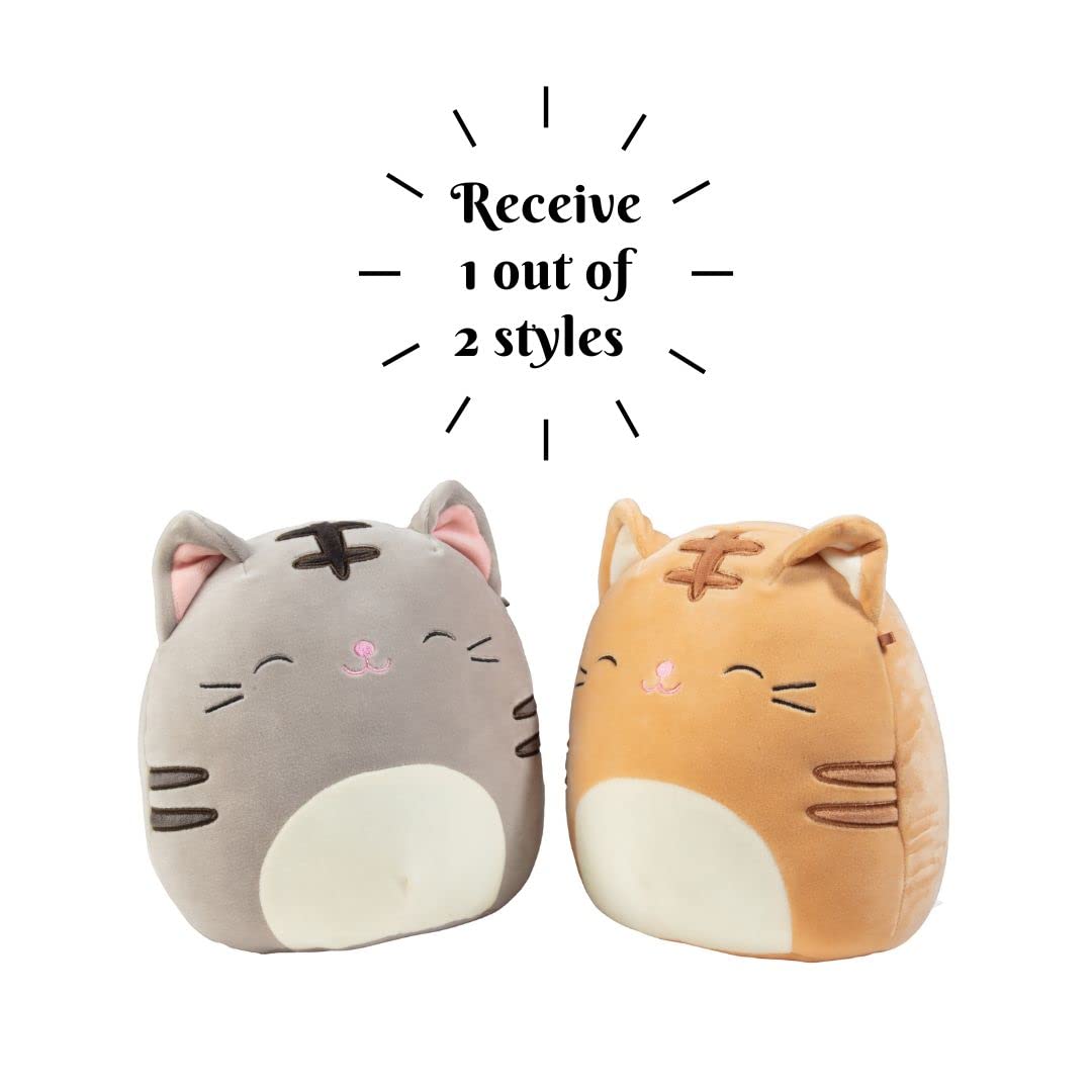 Squishmallows 8-Inch Mystery Cat Jazwares Plush Receive Orange or Grey