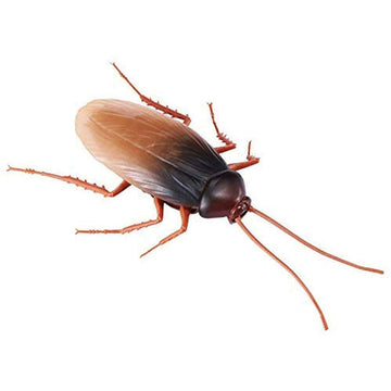 ZURU 36679 ROBO Alive Cockroach, Brown