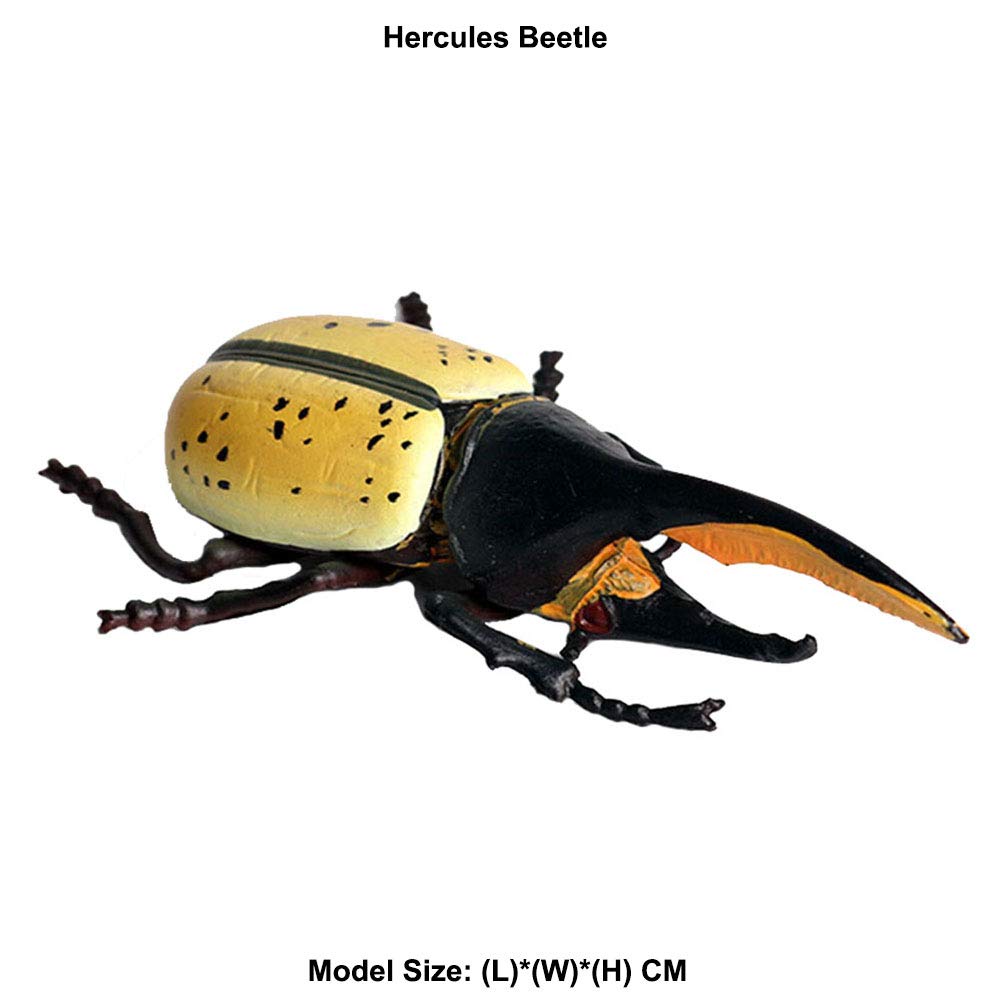 Flormoon Realistic Animal Figures Hercules Beetle Figurines Insect Toy, Science Project, Cake Topper, Early Educational Toys Birthday for Toddlers