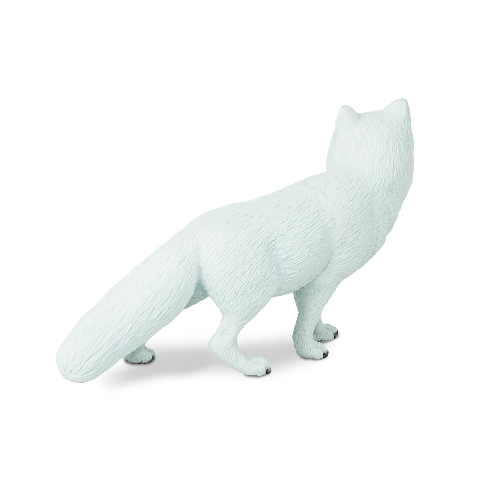 Safari Ltd. Arctic Fox Figurine - Detailed 5.25" Plastic Model Figure - Fun Educational Play Toy for Boys, Girls & Kids Ages 3+