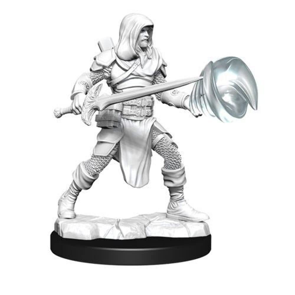 D&D Nolzur's Marvelous Miniatures: Multiclass Fighter+Wizard Male