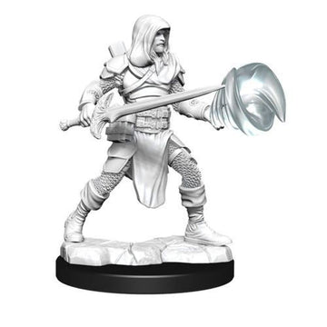 D&D Nolzur's Marvelous Miniatures: Multiclass Fighter+Wizard Male