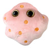 GIANT MICROBES Macrophage Plush - Learn About Blood, Health and the Immune System, Memorable Gift for Friends, Family, Students, Doctors, Teachers