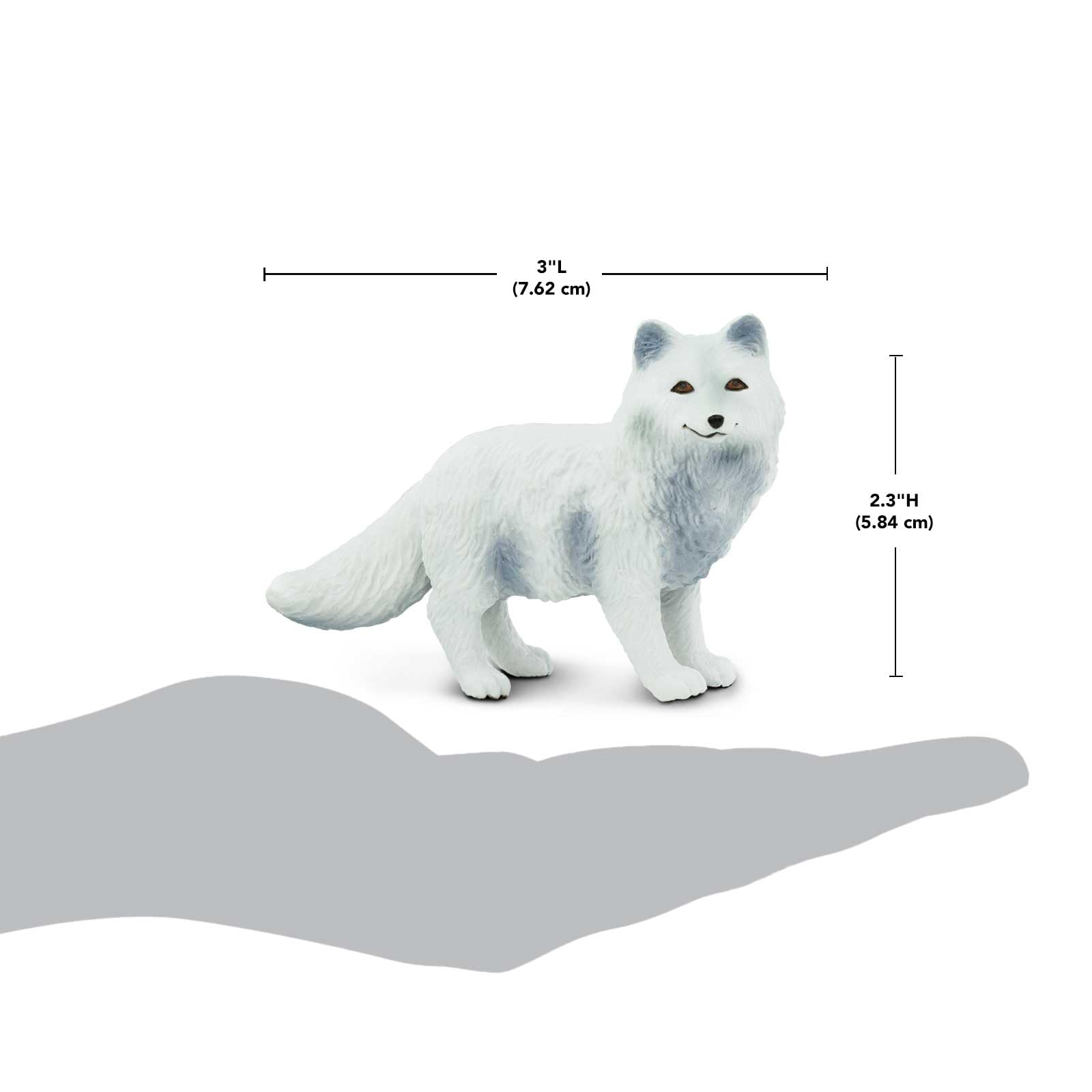 Safari Ltd. Arctic Fox Figurine - Detailed 3.25" Plastic Model Figure - Fun Educational Play Toy for Boys, Girls & Kids Ages 3+