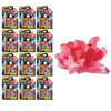 Kidz Science Crystal Grow Kit STEM Toy (12 Kits) 5423-12