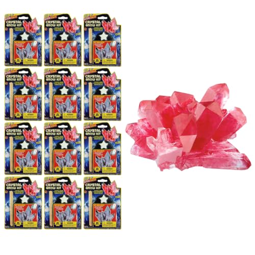 Kidz Science Crystal Grow Kit STEM Toy (12 Kits) 5423-12