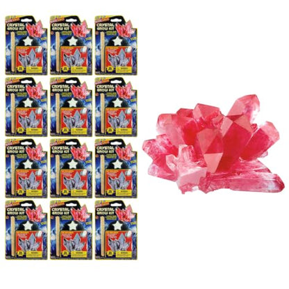 Kidz Science Crystal Grow Kit STEM Toy (12 Kits) 5423-12