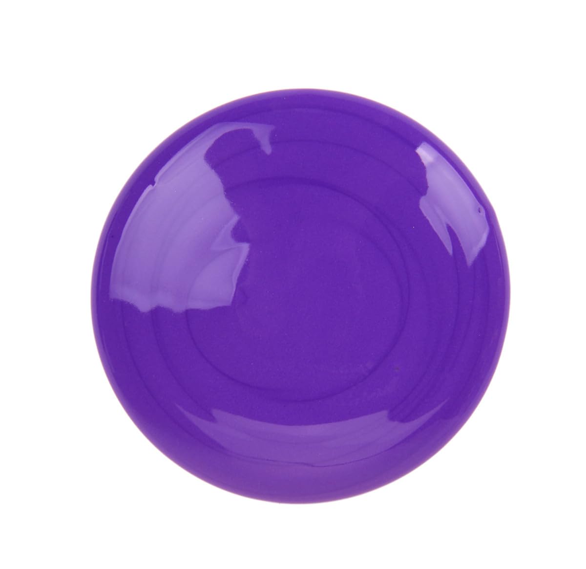 Crayola Washable Paint, Violet, 16oz