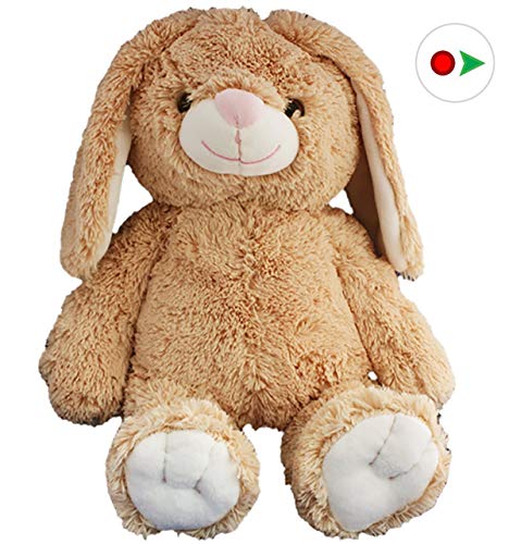 Stuffems Toy Shop Record Your Own Plush 16 inch Floppy Eared Rabbit - Ready to Love in A Few Minutes