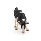 Papo "Grazing Black & White Cow Figure