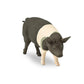 Safari Ltd. Hampshire Pig Figurine - Lifelike 4.25" Model Figure - Educational Toy for Boys, Girls, and Kids Ages 3+