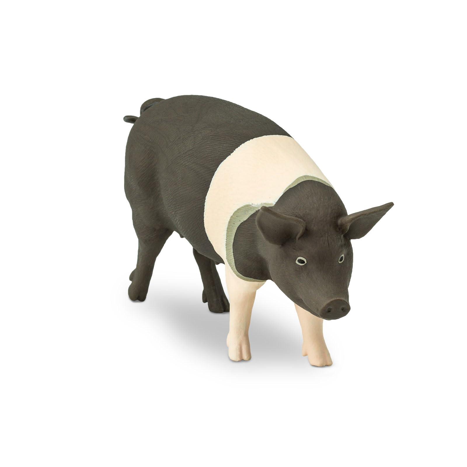 Safari Ltd. Hampshire Pig Figurine - Lifelike 4.25" Model Figure - Educational Toy for Boys, Girls, and Kids Ages 3+