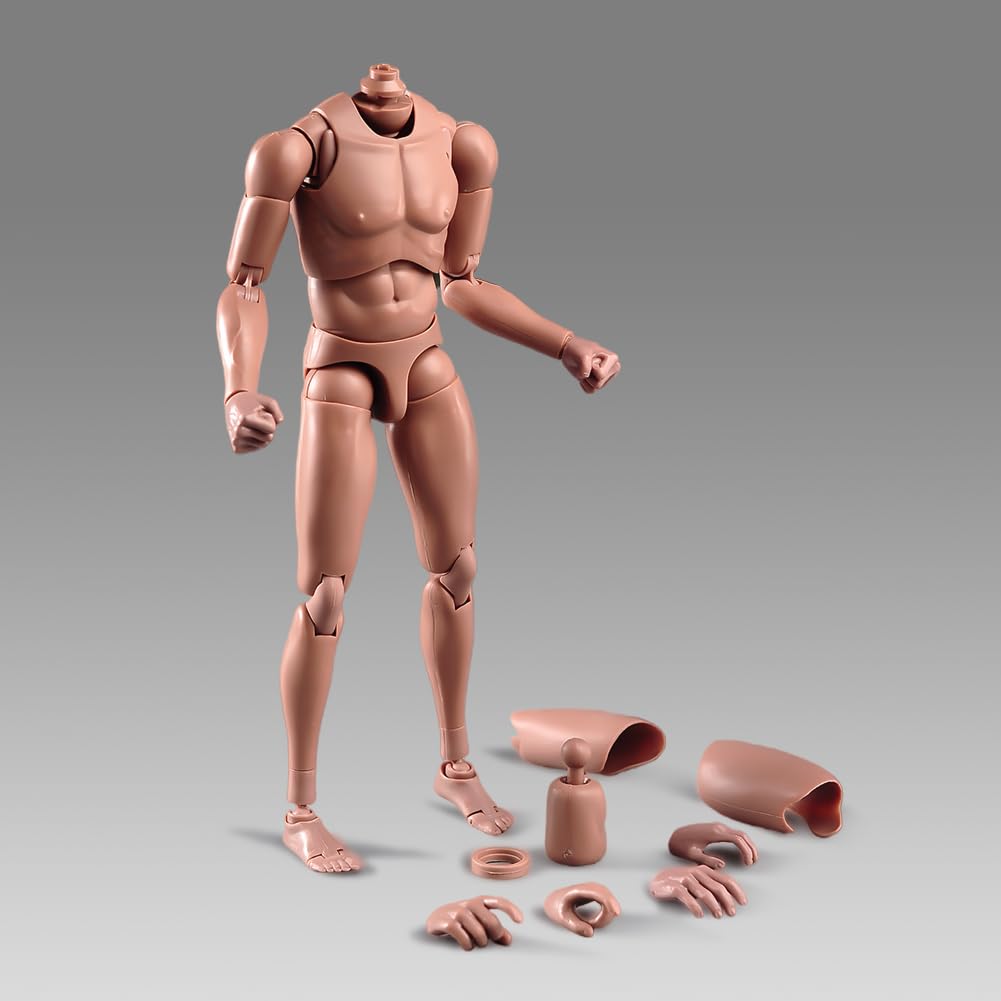 SOUFORCE 1:6 Scale Muscle Male Action Figure Europe Skin 12 Inch Flexible Male Figure Body Doll Miniature Figure Without Head Sculpt