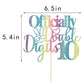 Sleyberoy Rainbow Gradient Glitter Officially Double Digits 10 Cake Topper