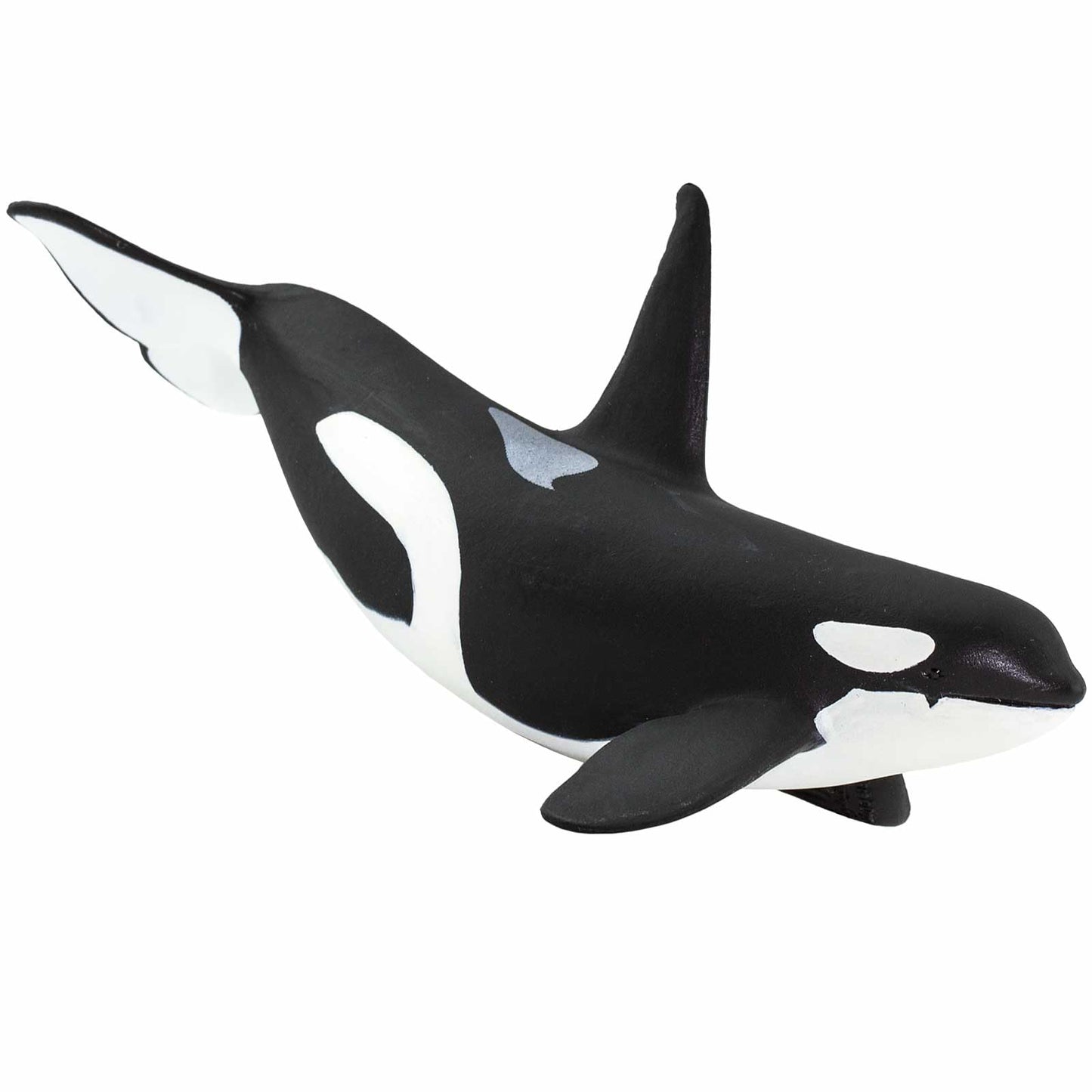 Safari Ltd. Wild Safari Sea Life Orca Figurine - Realistic 6" Killer Whale Model Figure - Educational Toy for Boys Girls & Kids Age 3+