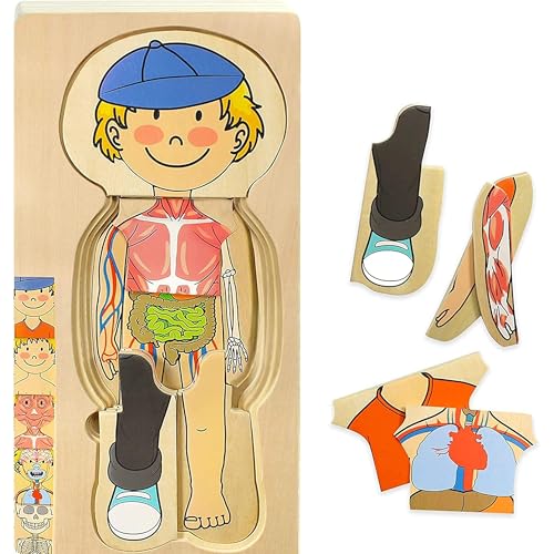 Kidzlane Boy Wooden My Body Puzzle for Toddlers & Kids - 29 Piece Boys Anatomy Puzzle Kid Play Set - Anatomy for Kids, Skeleton Toys for Children Ages