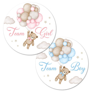 Boho Teddy Bear Balloons Team Girl, Team Boy Gender Reveal Stickers - 40 Labels (20 of Each Design)