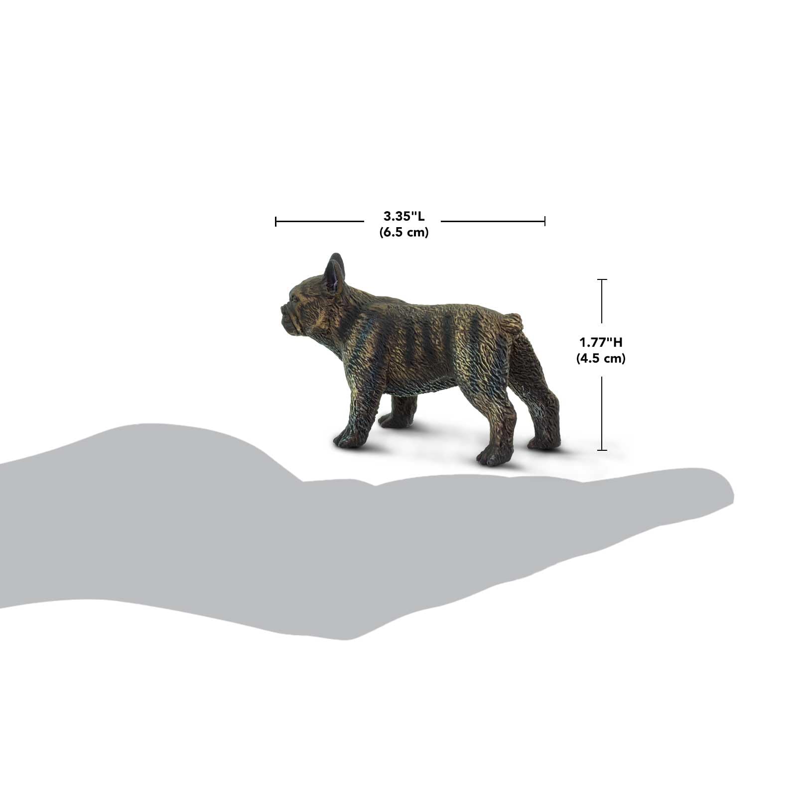 Safari Ltd. French Bulldog Figurine - Lifelike 3" Model Figure - Educational Toy for Boys, Girls, and Kids Ages 3+
