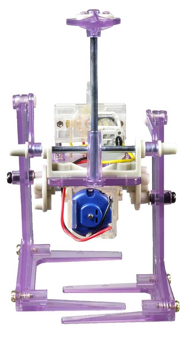Mechanical Ostrich Two Leg Walking Type Tamiya