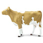 Safari Ltd. Guernsey Cow Figurine - Lifelike 5" Farm Animal Figure - Educational Toy for Boys, Girls, and Kids Ages 3+