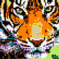Huge Mosaic Puzzle Poster Kits | Group Project | No Mess Paint by Sticker | Stay at Home Activity | Classroom | One Sticker at a Time! | Large Tiger |